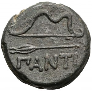 Grecja, Pantikapajon, AE25 (314-310pne) 