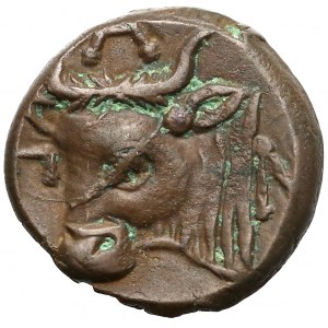 Tauric Chersonese, Patikapaion, AE17 (284-275 BC)