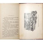 Dalseme A.J., PAN Z ANTYPODÓW przygody na lądzie i morzu, 1908 [ryciny]