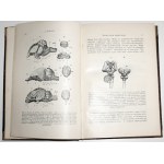 ŚWIAT I CZŁOWIEK, 1912 [Genealogia roślin, zwierząt; Pochodzenie człowieka; Rozwój człowieka] [Darwin]