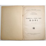 Prawocheński R., HODOWLA KONI, 1922 pochodzenie, pokrój rasy, hodowla, wychów i użytkowanie, 93 ryciny