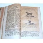 DÖBEL - NEUERÖFFNETE JÄGER-PRACTICA cz.1-4 wyd. 1783 myślistwo