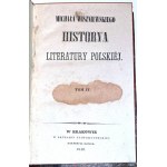 WISZNIEWSKI - HISTORYA LITERATURY POLSKIEJ t. 1-10 w 9 wol. [komplet]