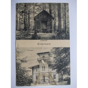 Czarnocin, Scharnosin bei Strzelce Opolskie, 1915