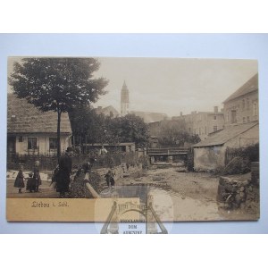 Lubawka, Liebau, panorama, ca. 1900