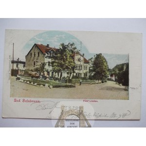 Szczawno Zdroj, Bad Salzbrunn, Villa 5 Linden, 1900