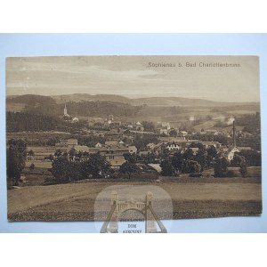 Jedlina Zdrój, Suliszów, panorama, 1918