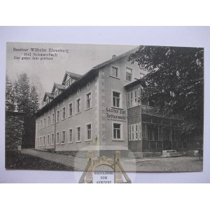 Czerniawa Zdrój, Bad Schwarzbach, Gasthof Tannenwald, ca. 1925