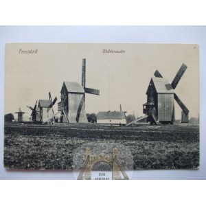 Wschowa, Fraustadt, wiatrak, młyny, 1910