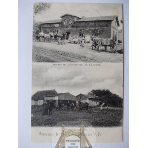 Skąpe near Chełmża, restaurant, 2 views, 1909