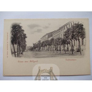 Białogard, Belgard, Lindenstrasse, ok. 1900