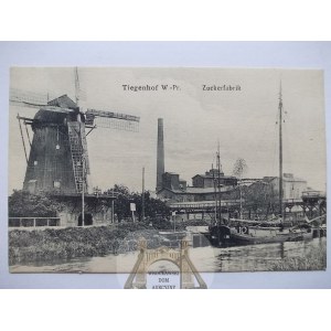 Nowy Dwór Gdański, Tiegenhof, cukrownia, wiatrak, ok. 1910