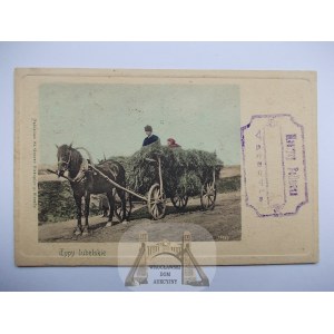 Lublin, Lublin types, cart, ethnography, ca. 1900