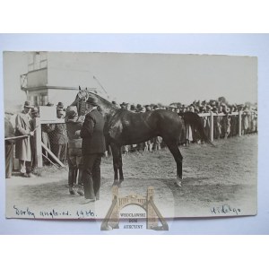 Warszawa, Służewiec, Derby wyścigi konne, koń Hidalgo, 1936