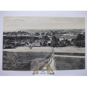 Olkusz, panorama, ok. 1910