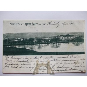 Brzeżany, panorama, 1901