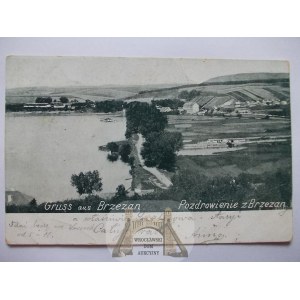 Brzeżany, panorama, 1901