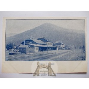 Skole, Railway Station, ca. 1900