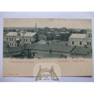 Stryj, panorama, ca. 1900