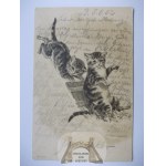 Kot, kotki polujące na mysz, tłoczona, 1901