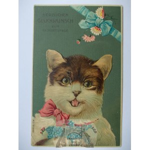 Cat, forget-me-nots, embossed, 1909