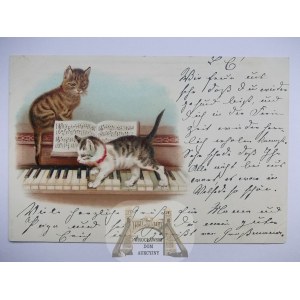 Kot, kotki na pianinie litografia, ok. 1900