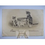 Kot, kotki na pianinie litografia, ok. 1900
