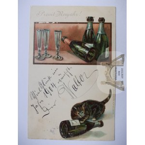Katze, Champagner, Lithographie, 1903