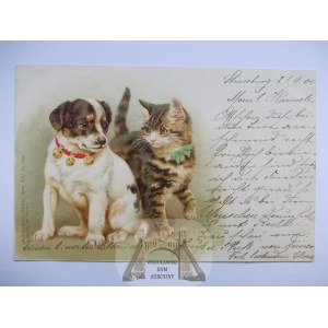 Katze und Hund, Lithographie, 1900