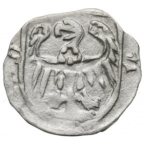 Sliezsko, vojvodstvo Olešnica, Konrád VIII Mladší, radnica 1430-1440, Olešnica