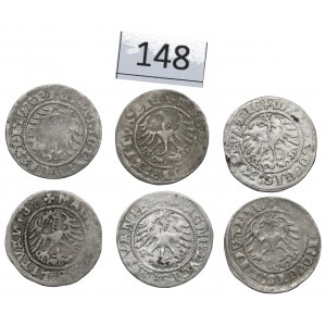 Sigismund I, Lot of halfgroats 1512-20, Vilnius