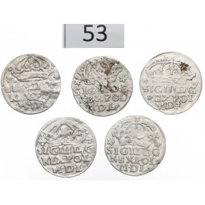 Sigismund III Vasa, Set of pennies 1623-24