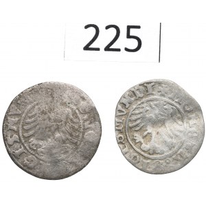 Sigismund I the Old, Set of crown half-pennies