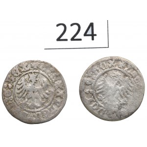 Alexander Jagiellon, Set of Cracow half-pennies