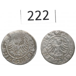 Alexander Jagiellon, Set of Cracow half-pennies