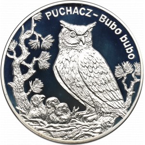 III RP, 20 złotych 2005 - Puchacz