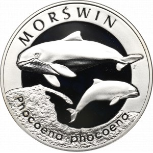 III RP, 20 złotych 2004 Morświn