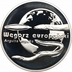 III RP, 20 PLN 2003 Anguilla europea
