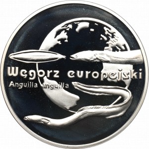 III RP, 20 złotych 2003 Węgorz europejski