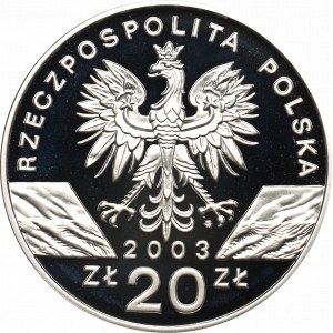 III RP, 20 złotych 2003 Węgorz europejski