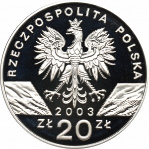 III RP, 20 PLN 2003 Úhoř říční