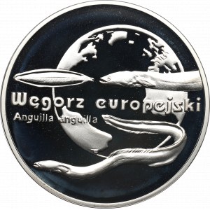 III RP, 20 złotych 2003 Węgorz europejski