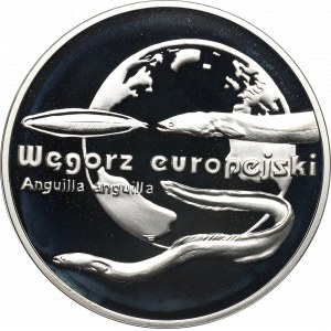 III RP, 20 PLN 2003 European eel