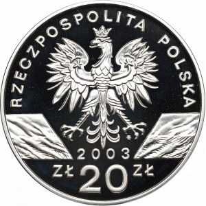 III RP, 20 złotych 2003 Węgorz europejski