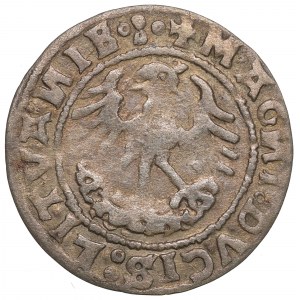 Žigmund I. Starý, polgroš 1520, Vilnius - 15Z0/LITVANIE-:-.