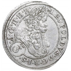 Sliezsko pod vládou Habsburgovcov, Leopold I., 3 krajcary 1696, Brzeg