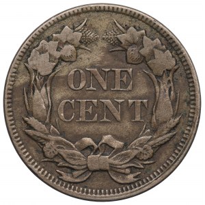 USA, 1 cent 1858