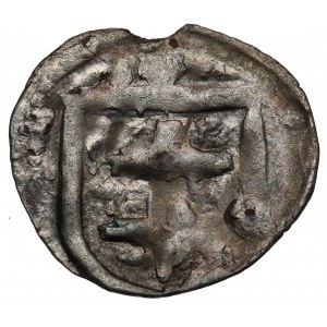 Ladislaus II Jagiello, Denarius without a date, Cracow.