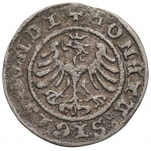 Žigmund I. Starý, polgroš 1507, Krakov - obyčajný 7