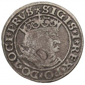 Zygmunt I Stary, Grosz dla ziem pruskich 1532, Toruń - PRVS/PRVSSIE
